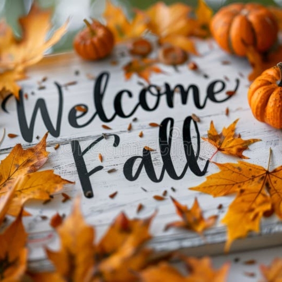 Meet your Posher, Bran - Picture 8 of 9